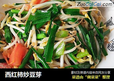 西红柿炒豆芽