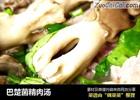 巴楚菌精肉汤