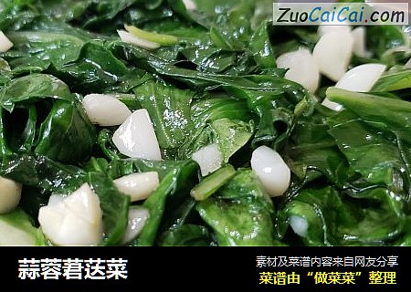 蒜蓉莙荙菜