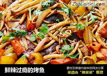 鲜辣过瘾的烤鱼