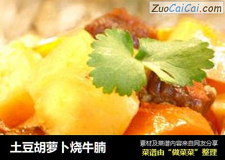 土豆胡萝卜烧牛腩