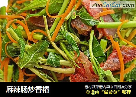 麻辣肠炒香椿