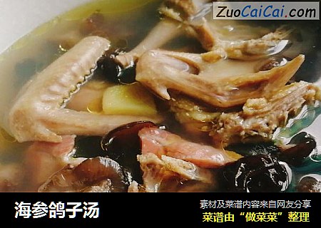海参鸽子汤