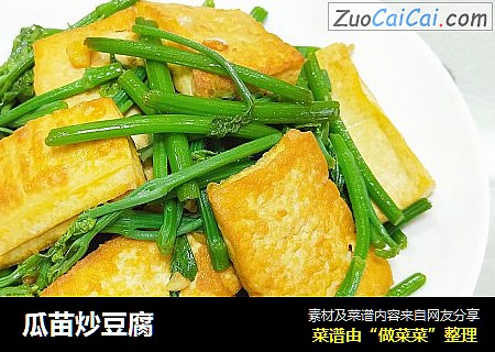 瓜苗炒豆腐 