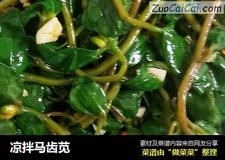 凉拌马齿苋