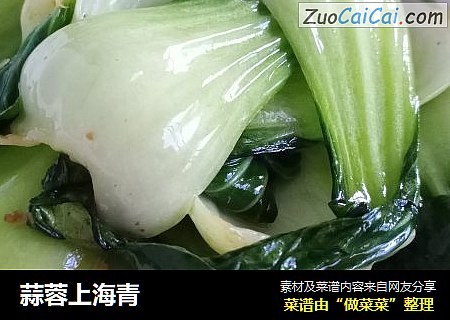 蒜蓉上海青