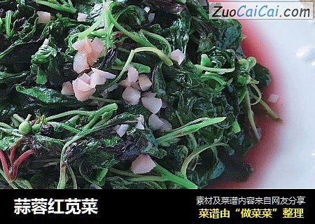 蒜蓉红苋菜