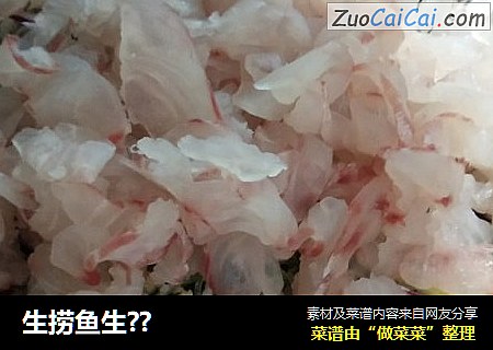 生捞鱼生??