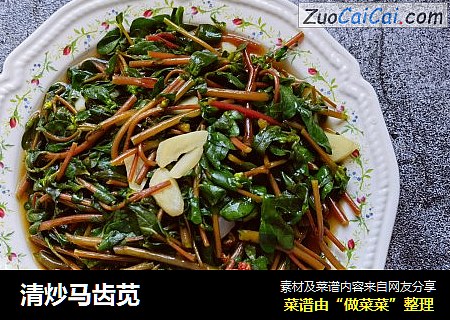 清炒马齿苋