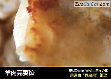 羊肉芫荽饺