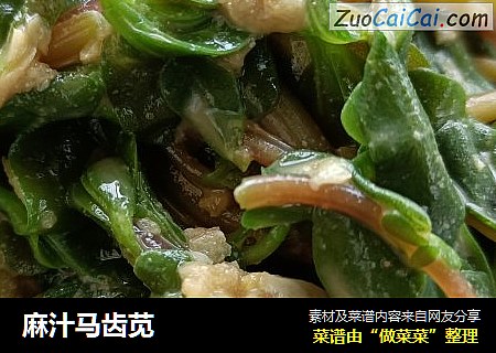 麻汁马齿苋