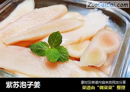 紫苏泡子姜 