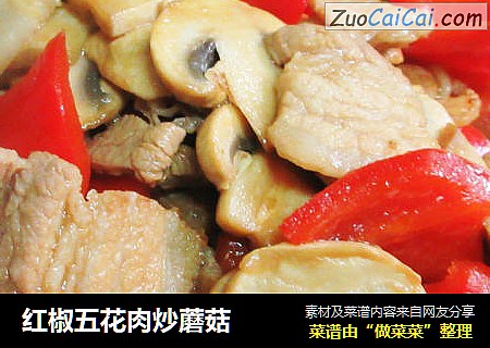 红椒五花肉炒蘑菇