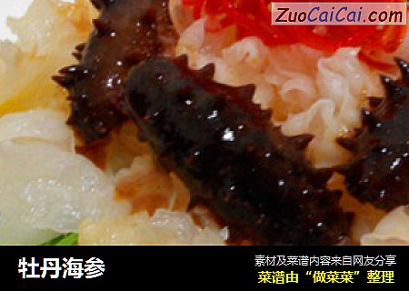 牡丹海参