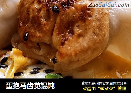 蛋抱马齿苋馄饨