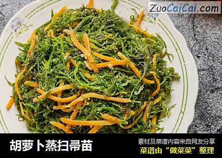 胡萝卜蒸扫帚苗