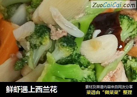 鲜虾遇上西兰花