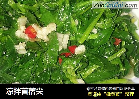 凉拌苜蓿尖