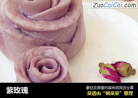紫玫瑰