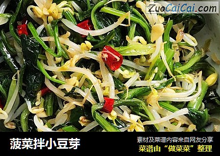 菠菜拌小豆芽
