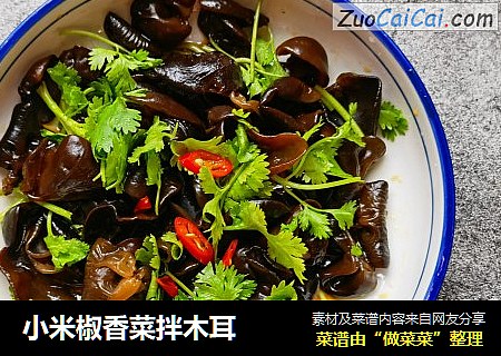 小米椒香菜拌木耳