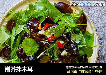 荆芥拌木耳