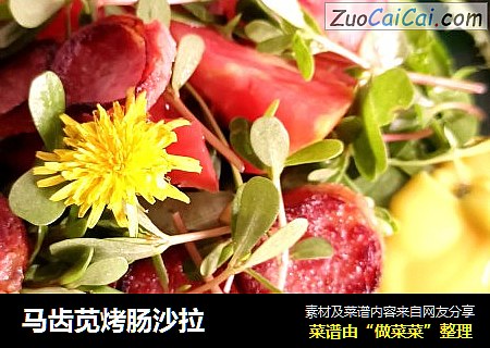 马齿苋烤肠沙拉