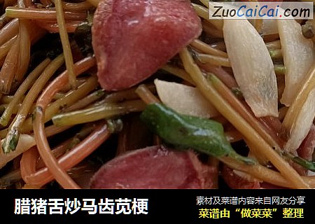 腊猪舌炒马齿苋梗