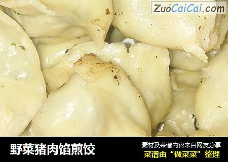 野菜猪肉馅煎饺