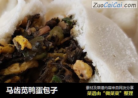 马齿苋鸭蛋包子