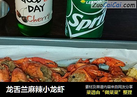 龙舌兰麻辣小龙虾