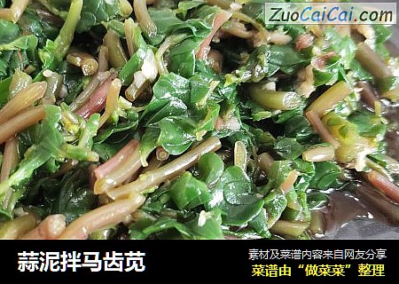 蒜泥拌马齿苋