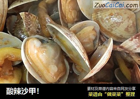 酸辣沙甲！