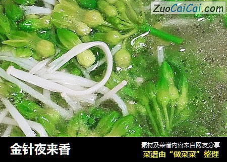 金针夜来香