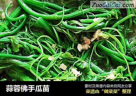 蒜蓉佛手瓜苗