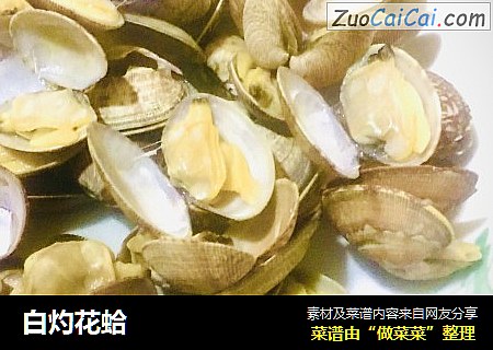 白灼花蛤