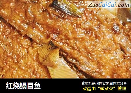 红烧鳎目鱼