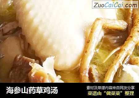 海参山药草鸡汤