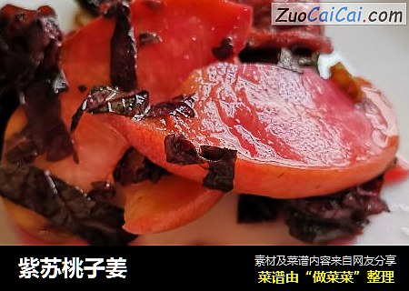 紫苏桃子姜