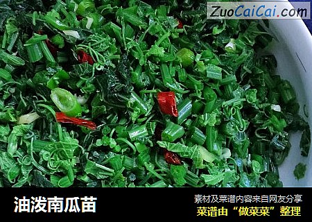 油泼南瓜苗