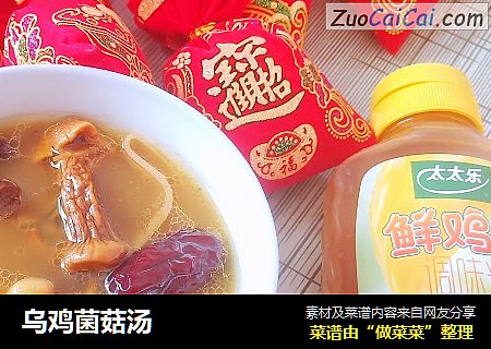 乌鸡菌菇汤