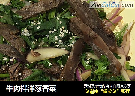 牛肉拌洋葱香菜