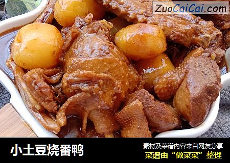 小土豆烧番鸭