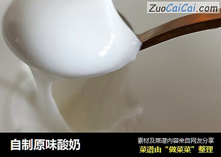 自制原味酸奶