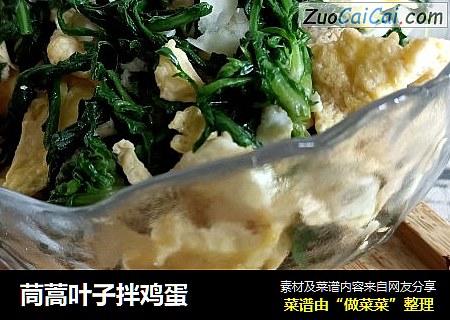 茼蒿叶子拌鸡蛋