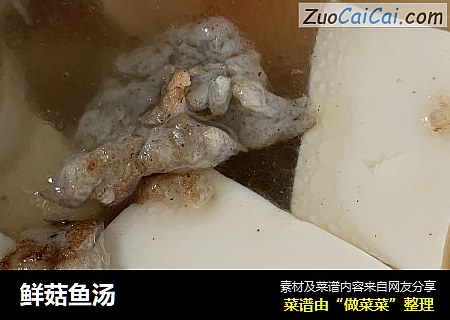 鲜菇鱼汤