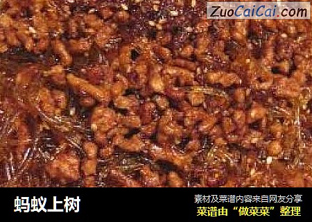 蚂蚁上树