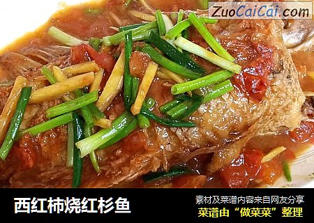 西红柿烧红杉鱼