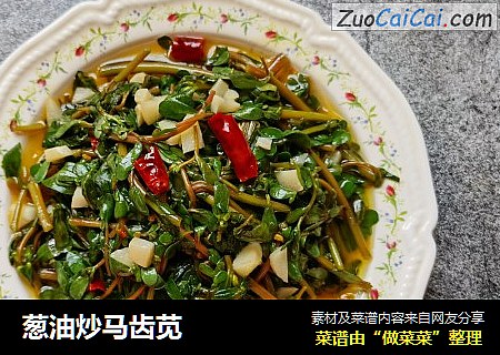 葱油炒马齿苋