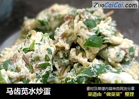 马齿苋水炒蛋